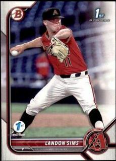 Landon Sims