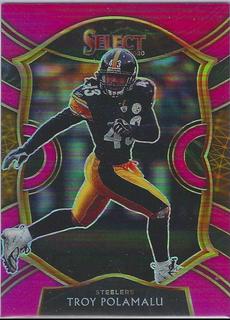 Troy Polamalu