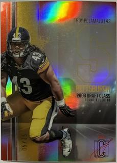 Troy Polamalu
