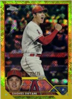 Shohei Ohtani