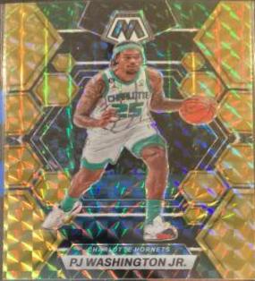 PJ Washington Jr.
