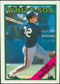 Tim Hulett