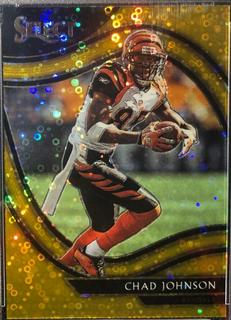 Chad Johnson