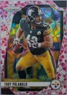 Troy Polamalu