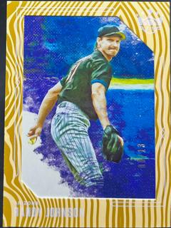 Randy Johnson