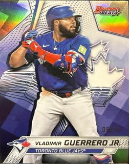 Vladimir Guerrero Jr.