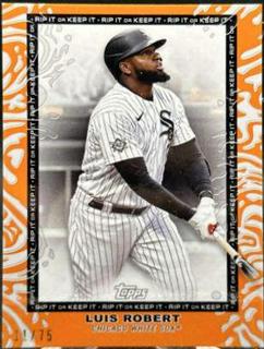 Luis Robert