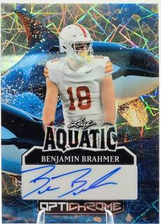Benjamin Brahmer