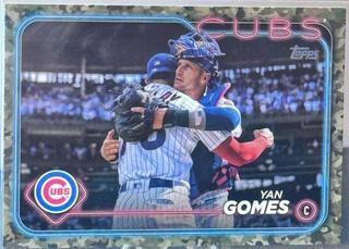 Yan Gomes