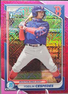Yoeilin Cespedes