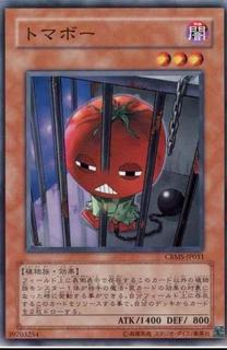 Inmato CRMS-JP031