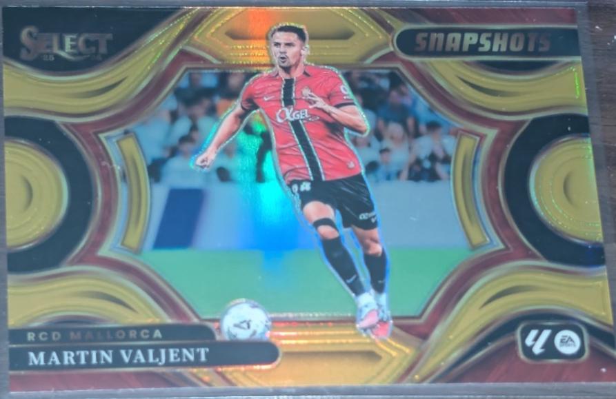 Martin Valjent [Gold] #7