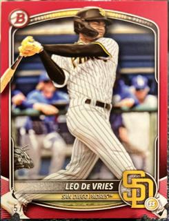Leo De Vries