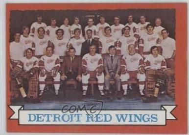 Red Wings Team #97