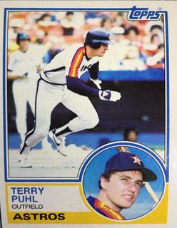 Terry Puhl