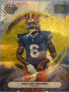 Dallas Wilson