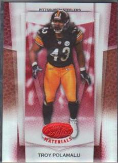 Troy Polamalu