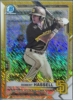 Robert Hassell