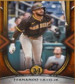 Fernando Tatis Jr.
