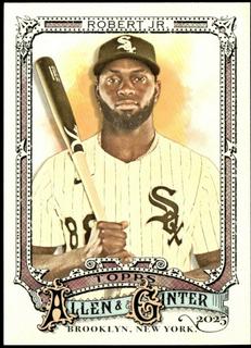 Luis Robert Jr.