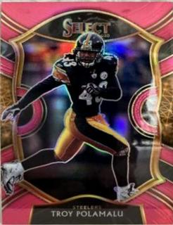 Troy Polamalu