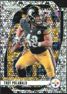 Troy Polamalu