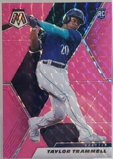 Taylor Trammell