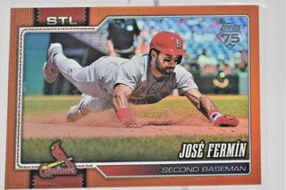 Jose Fermin