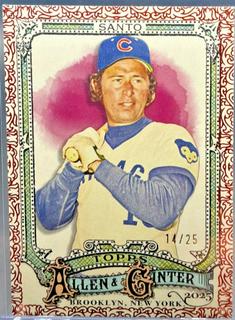 Ron Santo