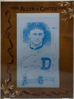 Ty Cobb