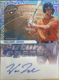 Walker Janek