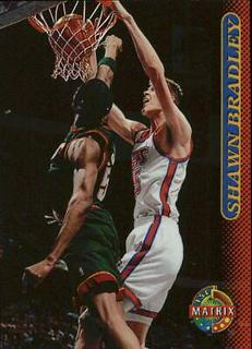 Shawn Bradley