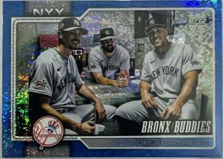 Bronx Buddies