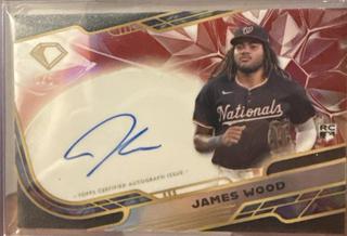 James Wood