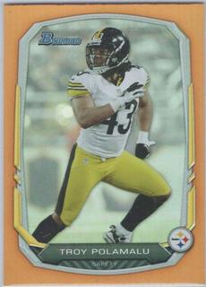 Troy Polamalu