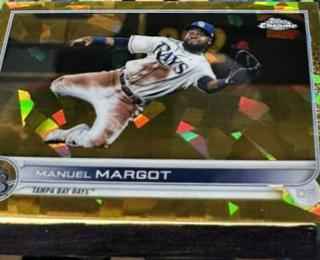 Manuel Margot