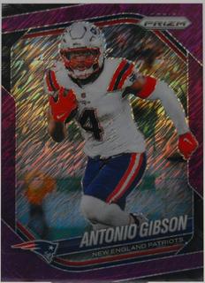 Antonio Gibson