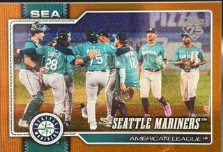 Team Card