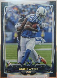 Reggie Wayne