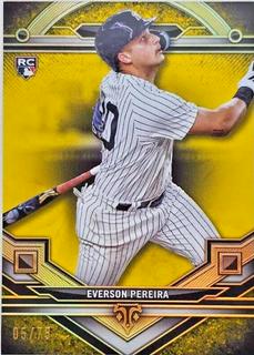 Everson Pereira