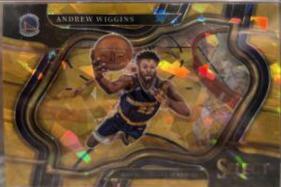Andrew Wiggins