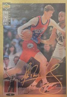 Shawn Bradley
