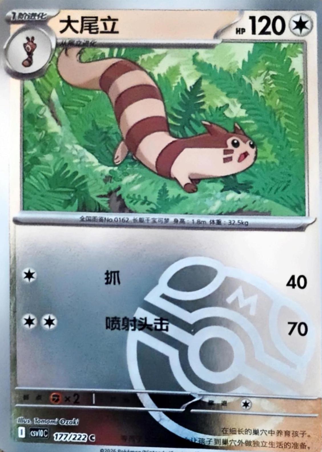 Furret #177 Pokémon Card from Pokemon Chinese CSV10C Set 