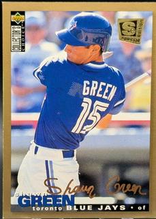 Shawn Green