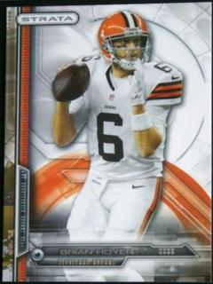 Brian Hoyer
