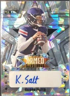 Kaidon Salter