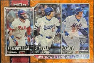 National League Leaders HRs