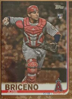 Jose Briceno