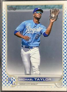 Michael Taylor