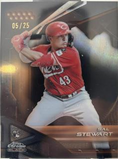 Sal Stewart